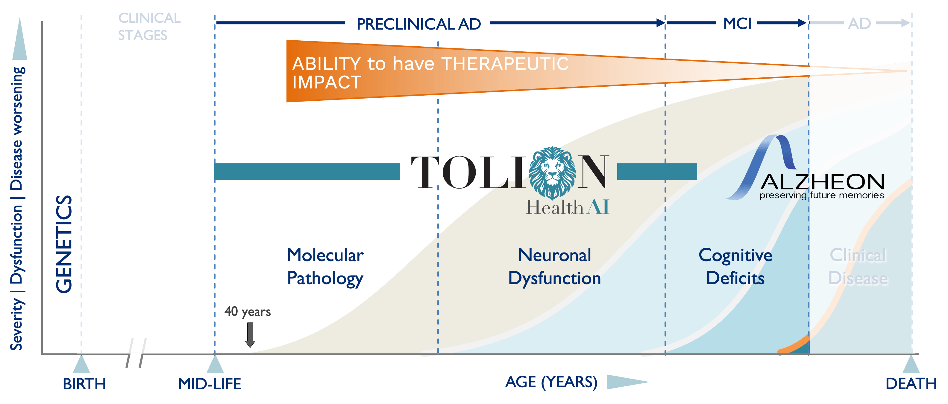 Alzheimers-Phases-21OCT2025-min
