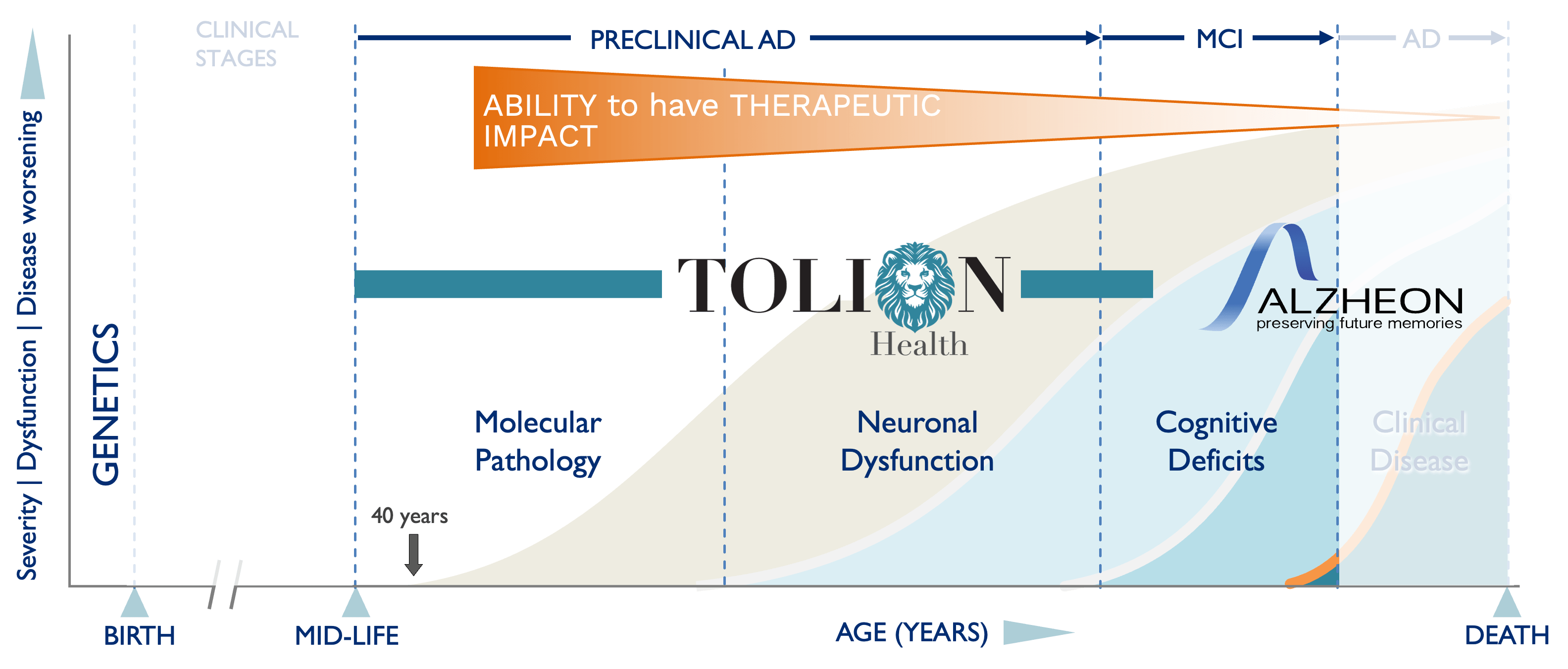 Alzheimers Phases-min