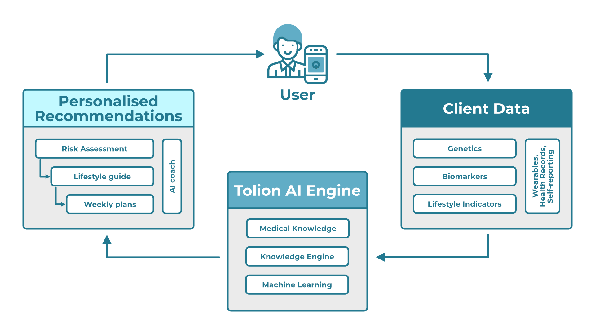 Tolion-diagram-min